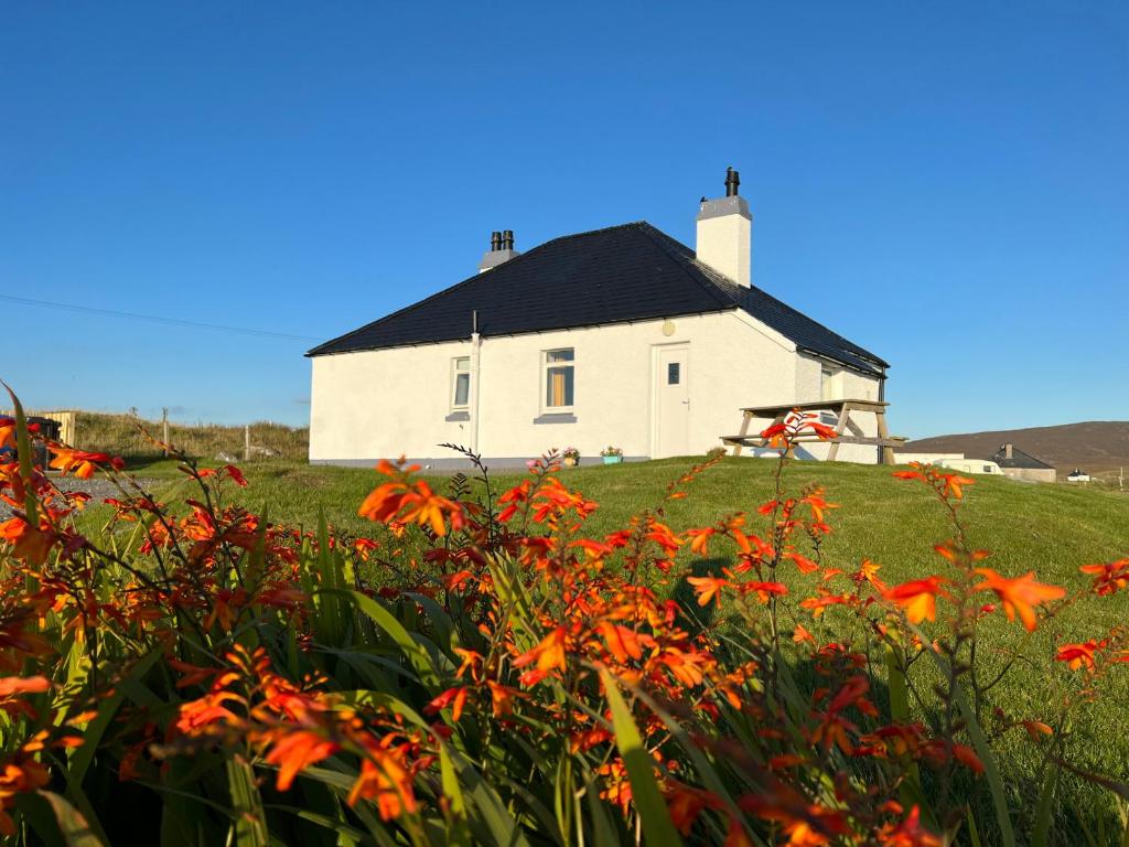 a white house on top of a hill with orange flowers at Dun Buidhe in Pollachar
