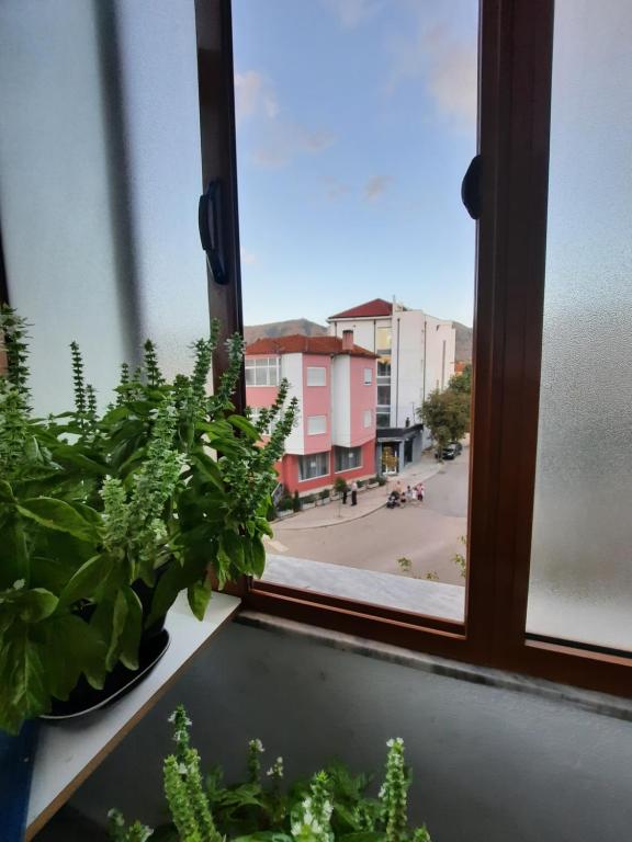 Vila Lordev Apartment - Image 9