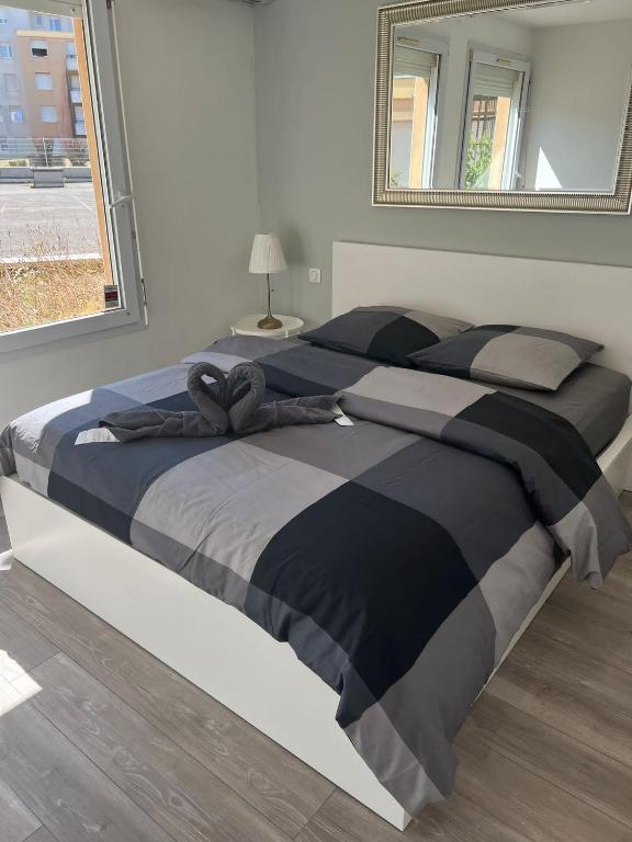 App 1 Mulhouse centre , 6 personnes – photo 14