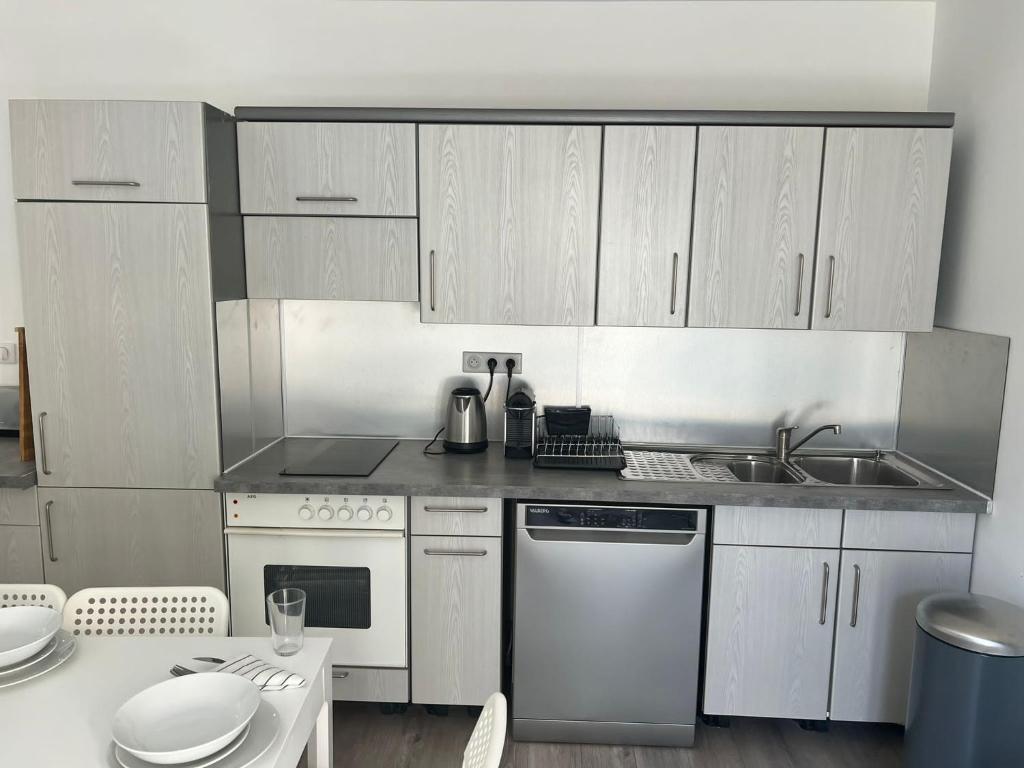 Una cocina o kitchenette en App 1 Mulhouse centre , 6 personnes