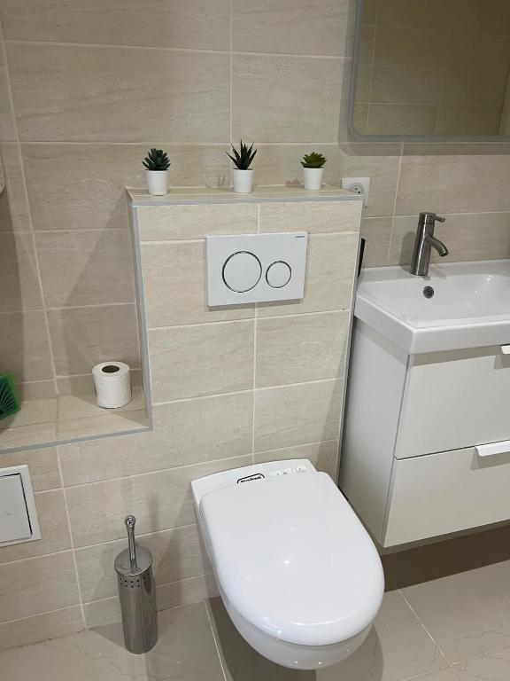 App 1 Mulhouse centre , 6 personnes – photo 15