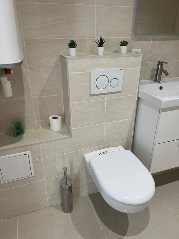 App 1 Mulhouse centre , 6 personnes – photo 18