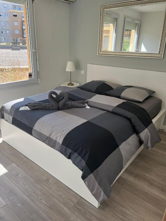 App 1 Mulhouse centre , 6 personnes – photo 19