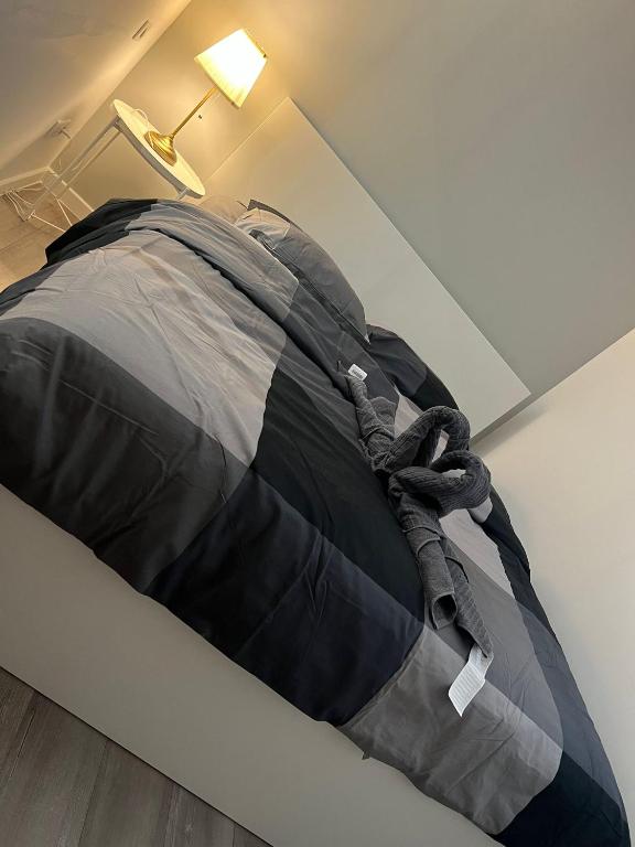 App 1 Mulhouse centre , 6 personnes – photo 24