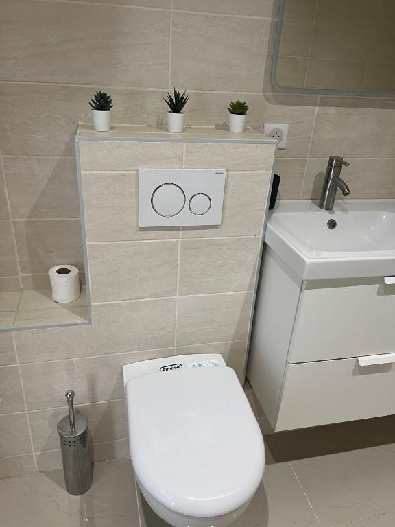 App 1 Mulhouse centre , 6 personnes – photo 31