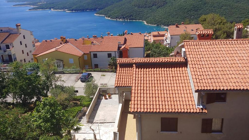 Příroda nedaleko apartmánu