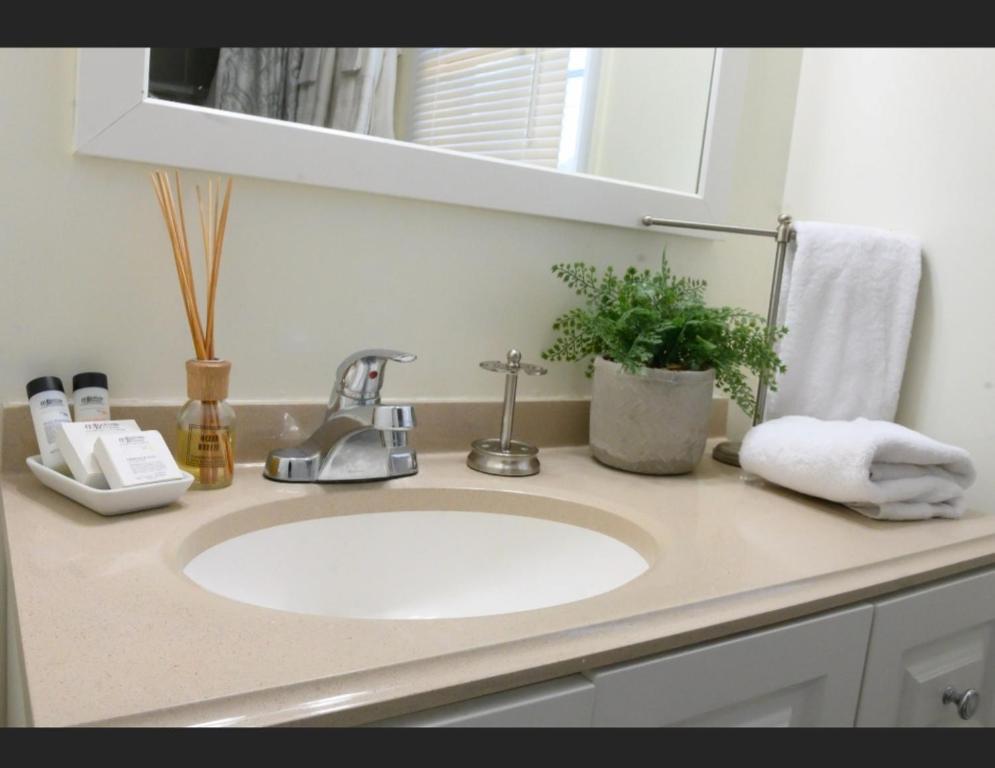 um balcão de casa de banho com um lavatório e um espelho em GREAT 2 bedroom Condo,FREE parking,easy commute. em Irvington