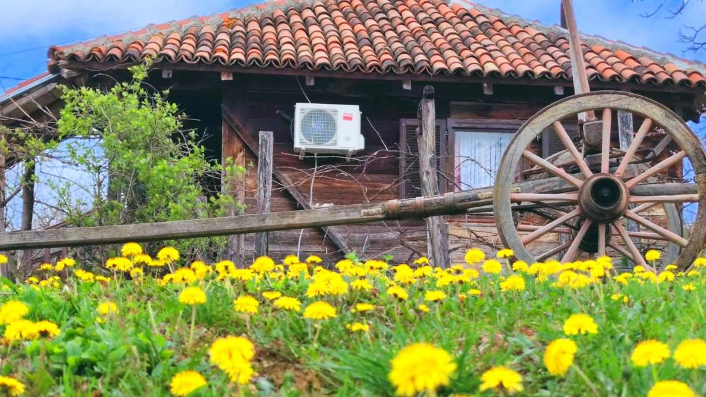 Zahrada ubytování Smestaj Durungara Jović