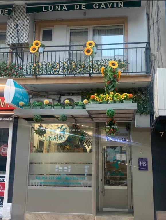 Fotografie z fotogalerie ubytování Hostal Boutique Luna de Gavín v destinaci Cullera