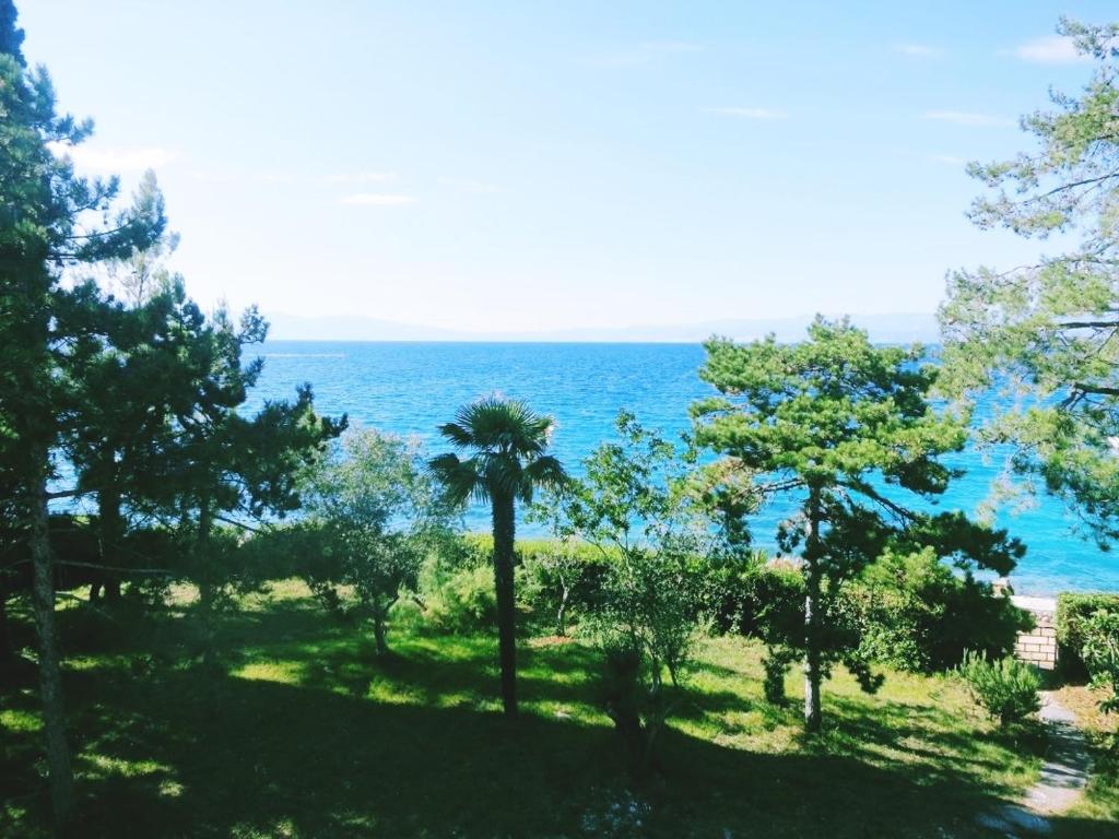 Příroda nedaleko apartmánu