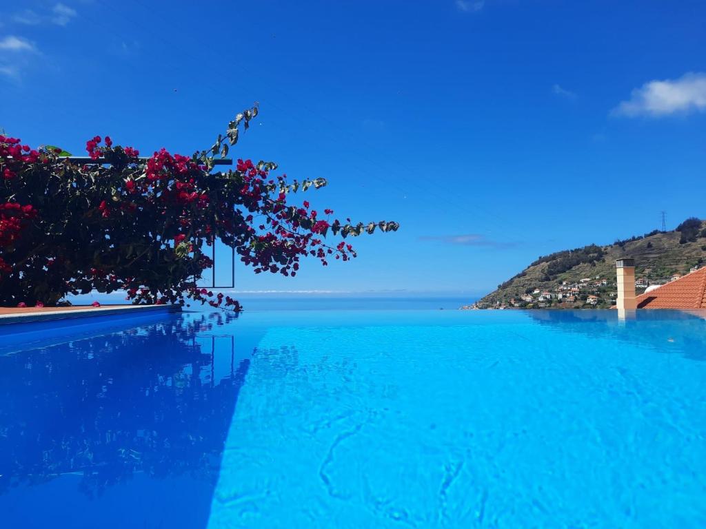 a swimming pool with a view of the ocean at Casa Gama in Ribeira Brava