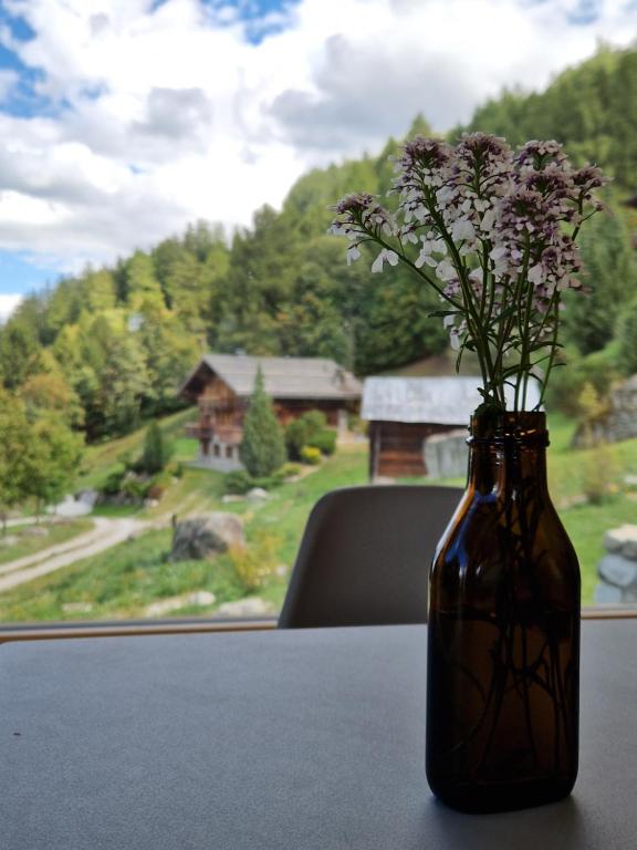 Příroda nedaleko chaty