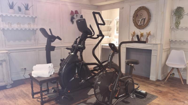 Fitness centrum a/nebo fitness zařízení v ubytování Hotel Ter Brughe by CW Hotel Collection