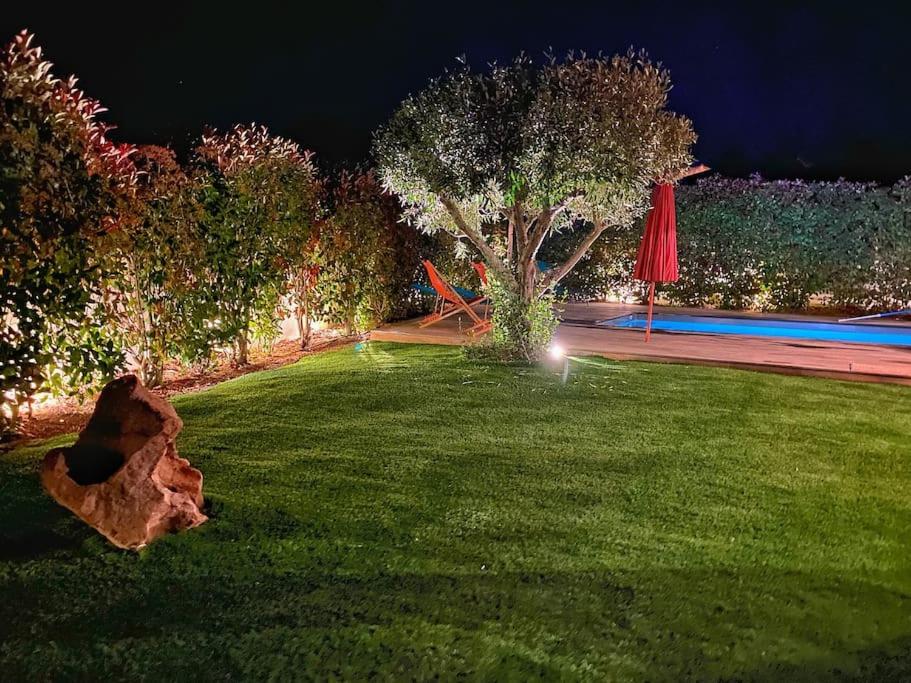 a yard at night with a lawn with a tree at Villa avec piscine privée à Sainte Lucie in Sainte-Lucie de Porto-Vecchio