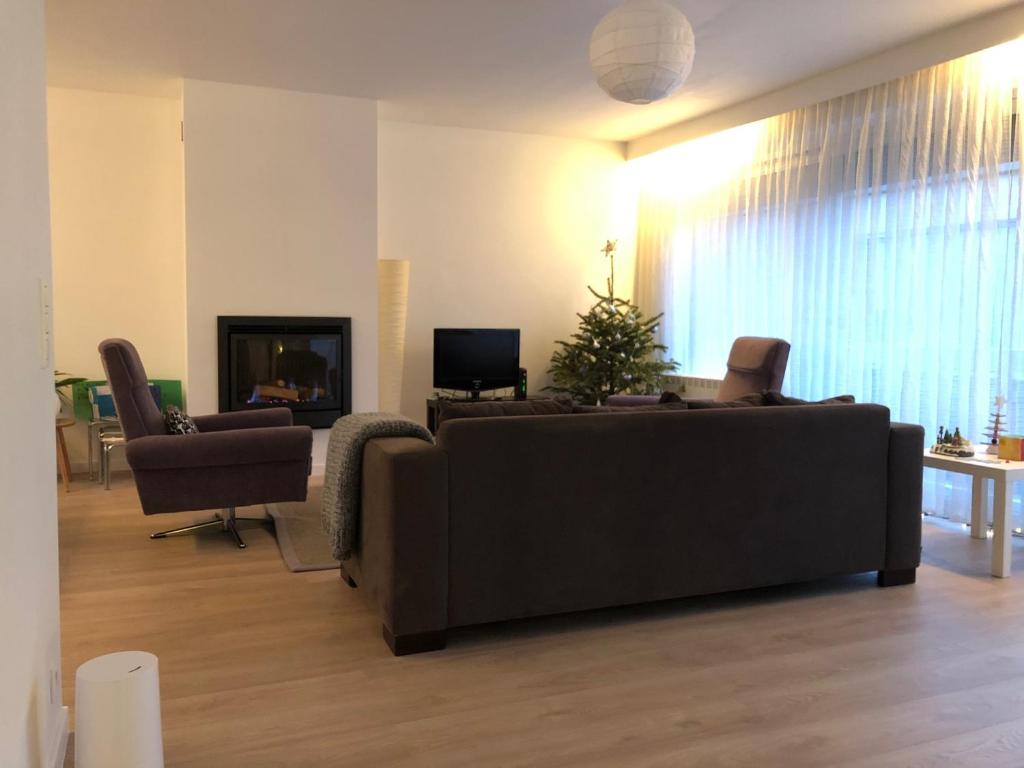 ein Wohnzimmer mit Sofa und Weihnachtsbaum in der Unterkunft African heritage Tervuren in Tervuren