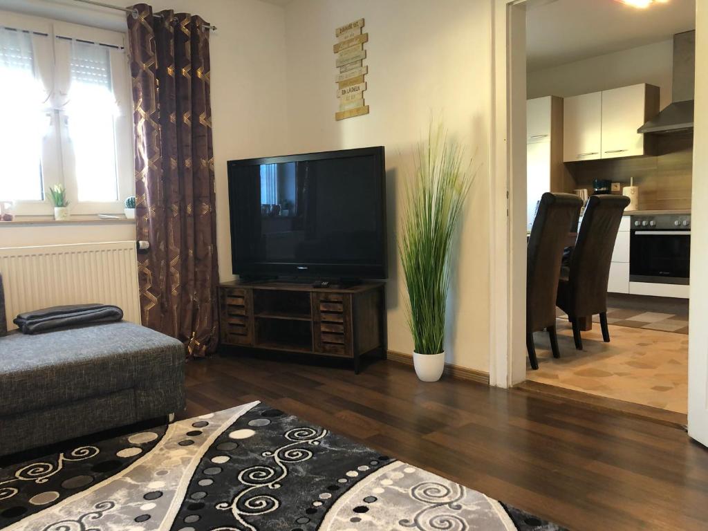 a living room with a flat screen tv on a table at Fine Ferienwohnung Bayreuth in Bayreuth