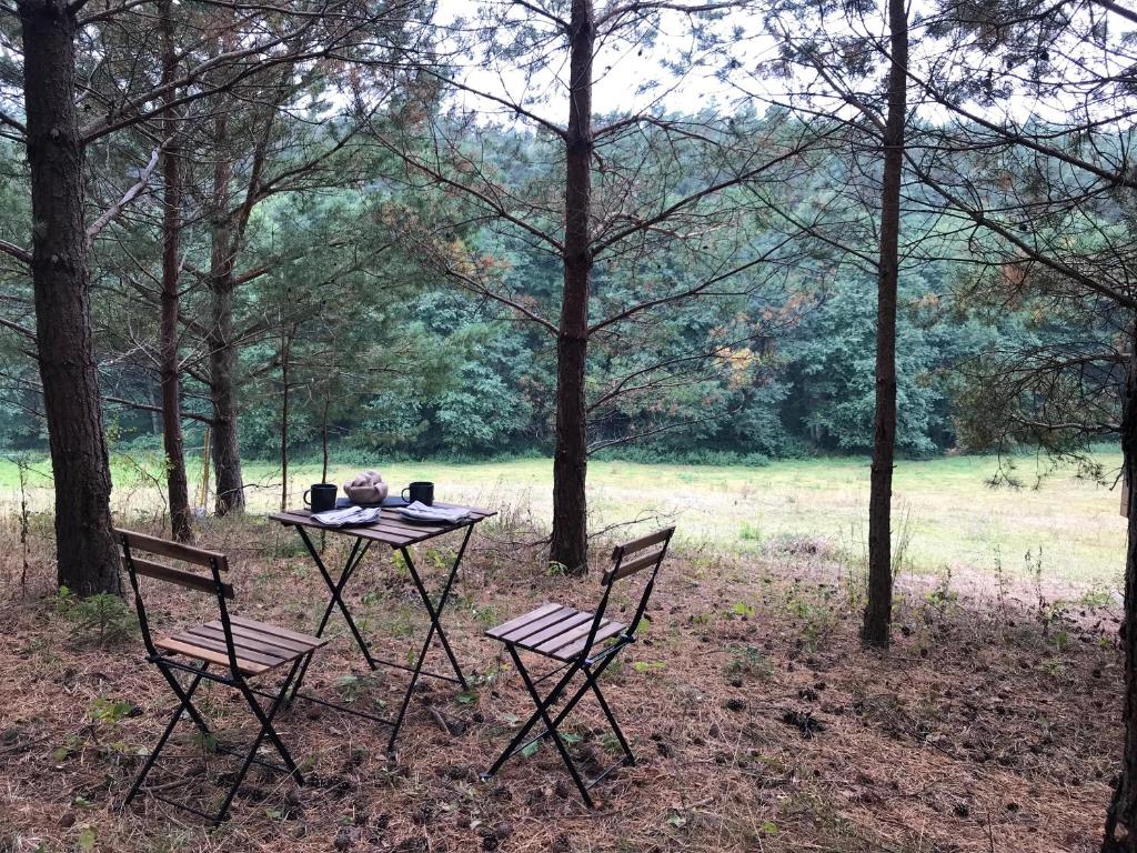 Zahrada ubytování Na skraju gaju