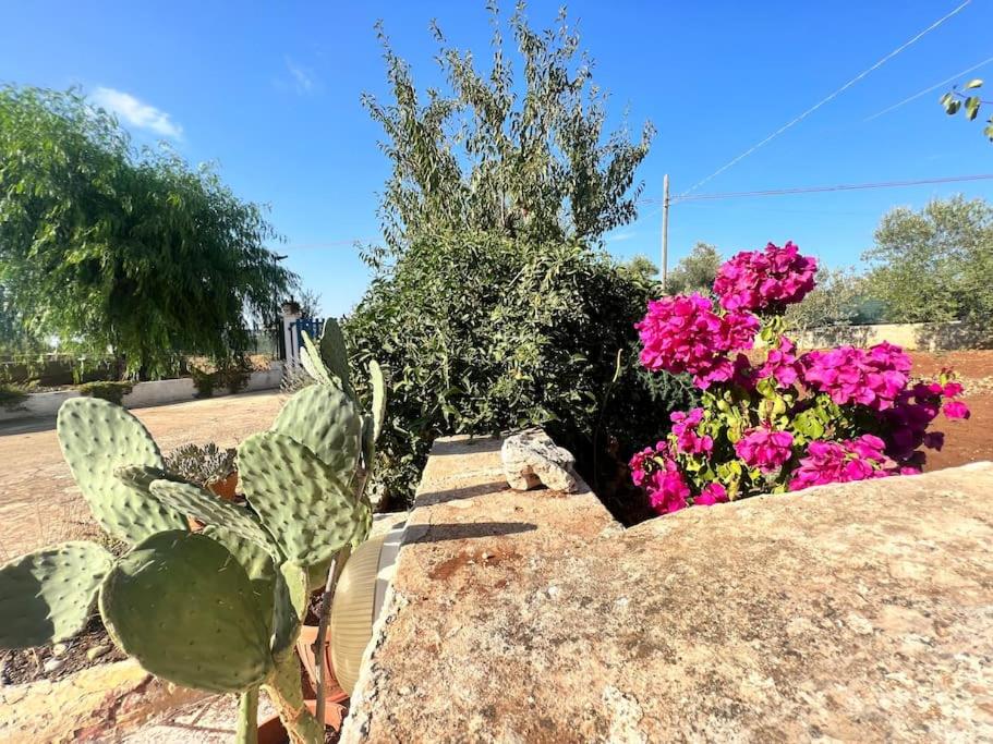 Ogród w obiekcie AL PEPE NERO - Casa in campagna a soli 5 minuti dal mare