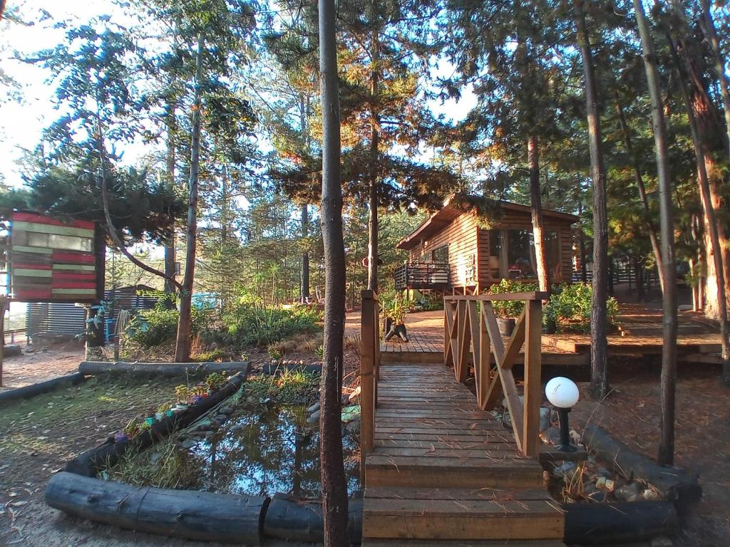 una pasarela de madera que conduce a una cabaña de madera en Lodge Terra Mar, en Pichilemu