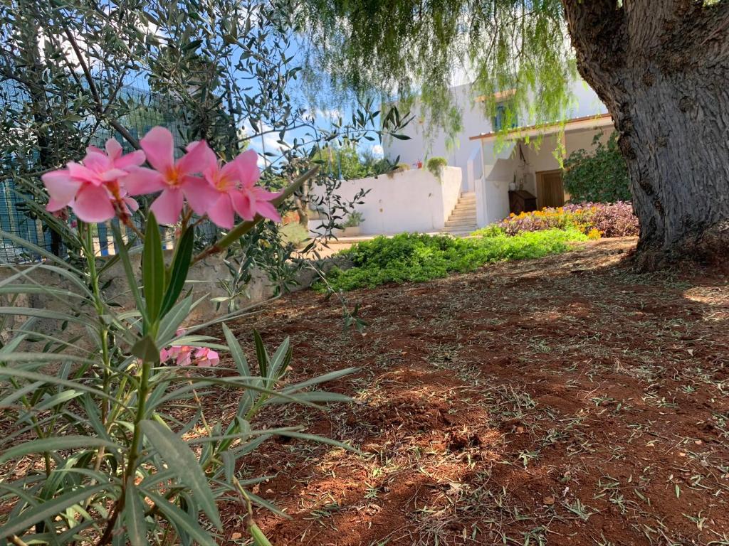 Ogród w obiekcie AL PEPE NERO - Casa in campagna a soli 5 minuti dal mare