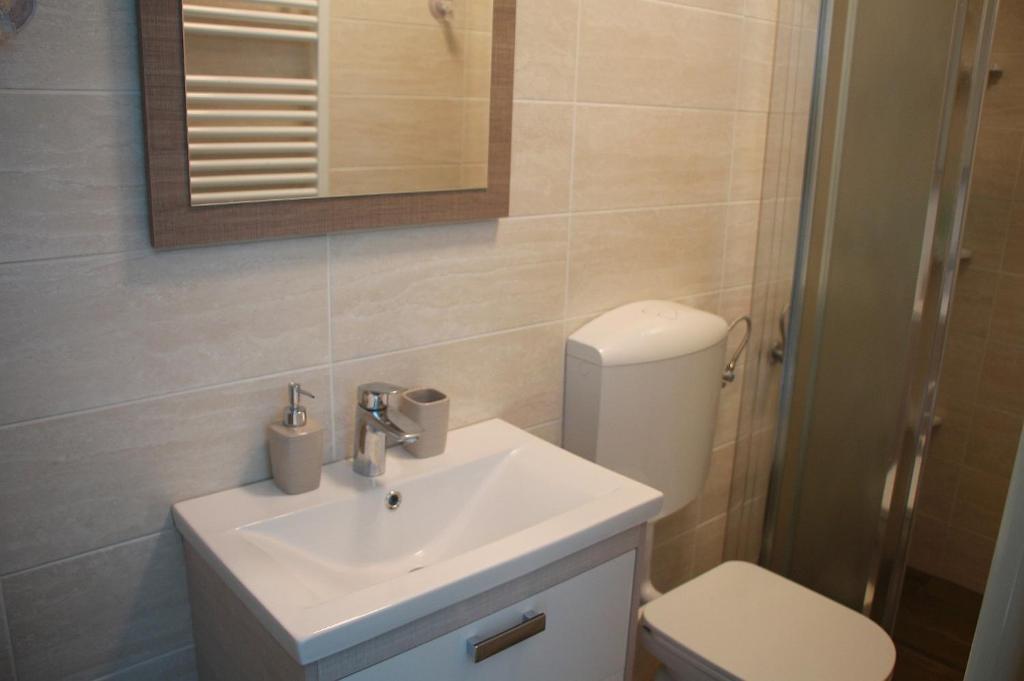 a bathroom with a sink and a toilet and a mirror at Mike's Rooms in Kobarid