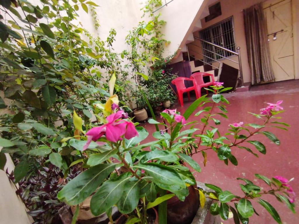 un balcón con flores rosas y una silla roja en Divine view - 1 bhk AC - Swarna Bhavan, en Puri