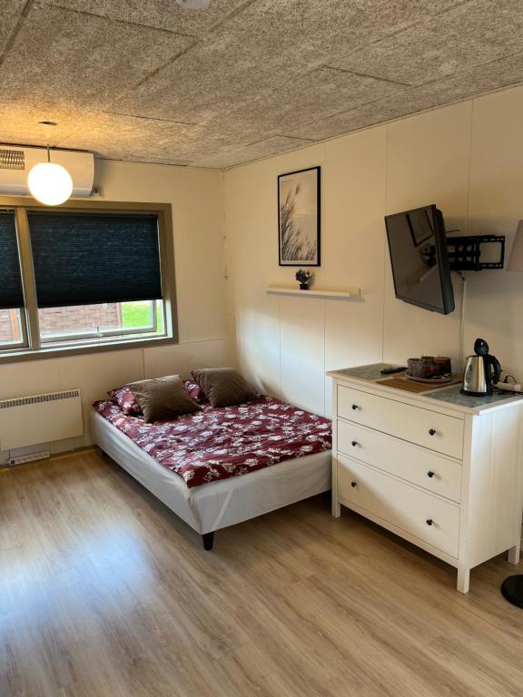 1 dormitorio con 1 cama, vestidor y TV en Pavillon Greve, en Greve