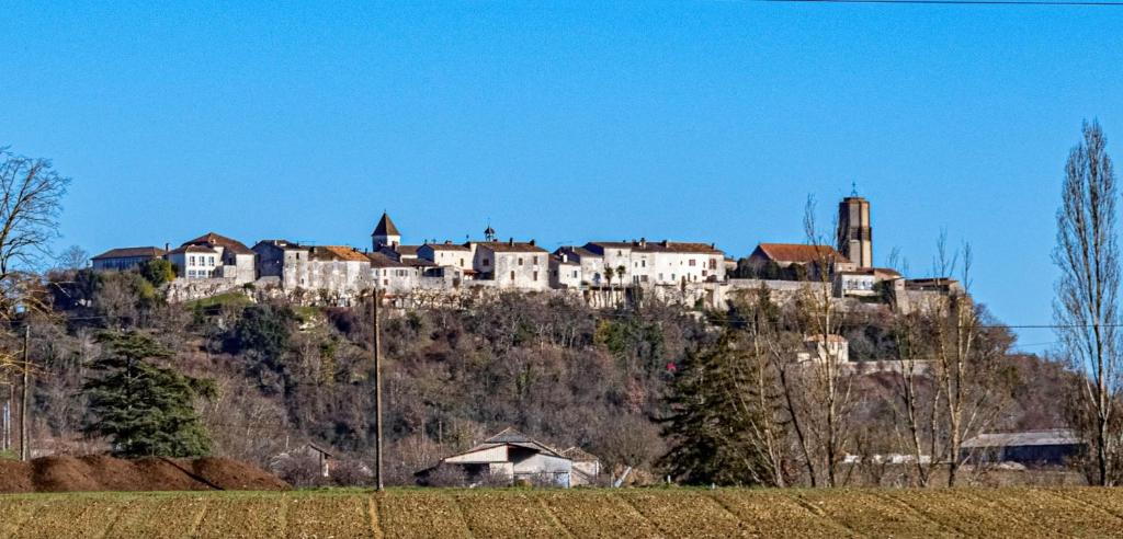 miasto na szczycie wzgórza z domami w obiekcie Bastide de Tournon d'Agenais w mieście Tournon-dʼAgenais