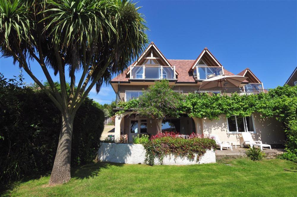 a house with a palm tree in the yard at Willows in Charmouth