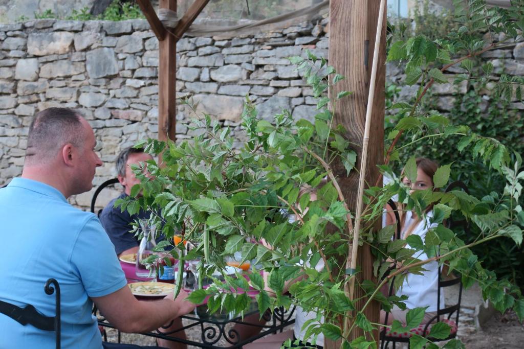 Hosté ubytování CheRiedel Bed & Breakfast & Art Gallery