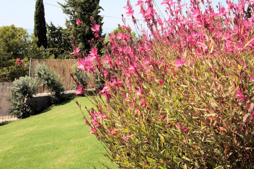 A garden outside Villa CostaMare - enjoy lazy days on the private Pool-Jacuzzi