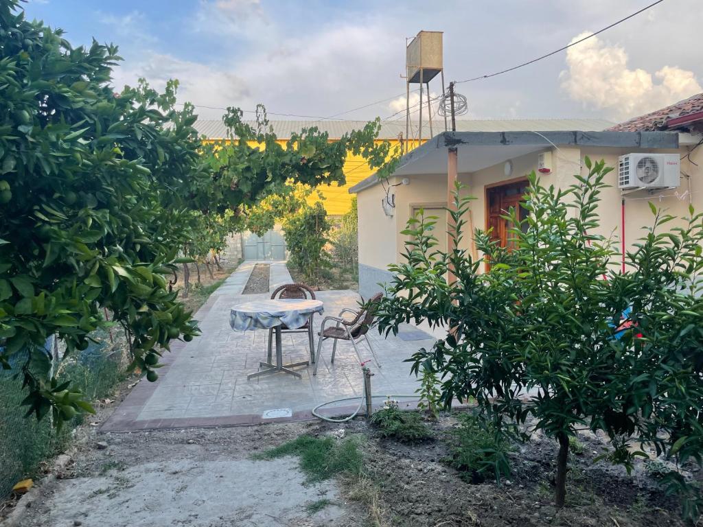 a table in a yard next to a house at Lovely spacious house with big garden in Elbasan