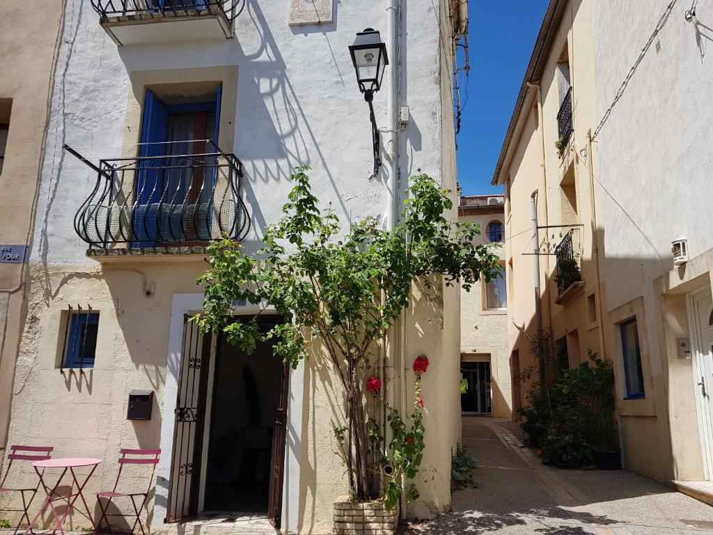 Mała alejka z budynkiem z drzewem w obiekcie La Trémière, maison de village, sauna, vue garrigue w mieście Bouzigues