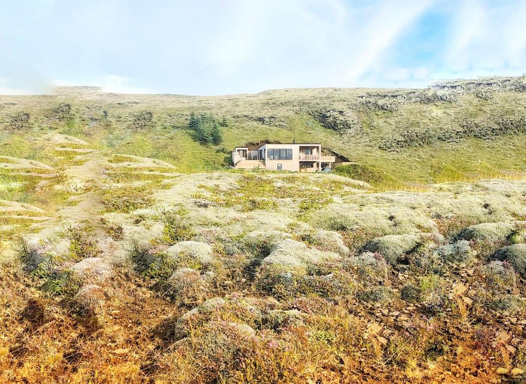 dom na zboczu wzgórza z roślinami w obiekcie Beautiful cottage with Mountain View w mieście Flúðir