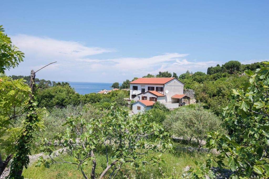 Príroda v okolí apartmánu