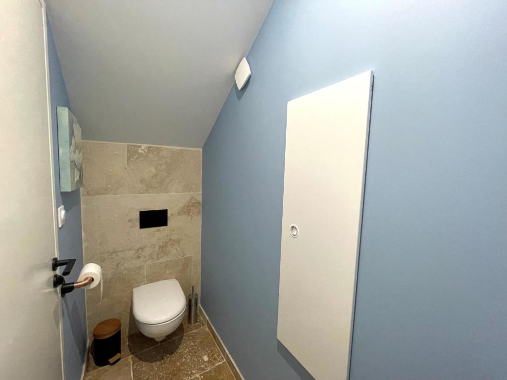 a bathroom with a toilet and a blue wall at Meublé de tourisme 4 étoiles Logis Riquet proche de Carcassonne in Caux-et-Sauzens