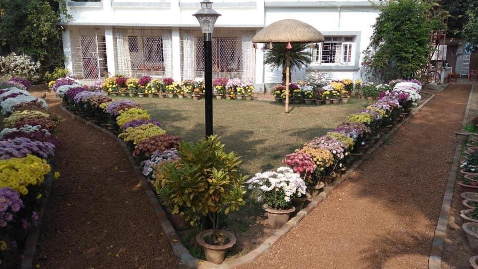 Vườn quanh Nibhriti Guest House