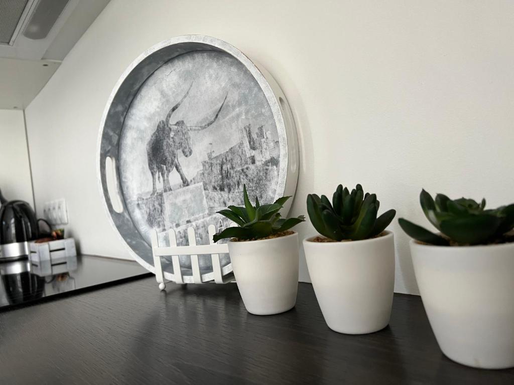 Fotografie z fotogalerie ubytování Vabriku 6 Apartment with sauna v destinaci Rakvere