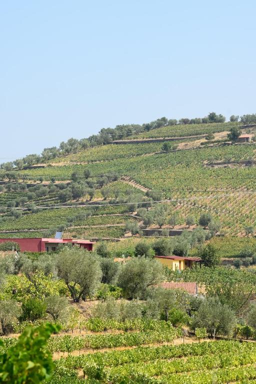 a view of a hillside with houses and trees at Quinta dos Padrinhos - Suites in the Heart of the Douro in Lamego