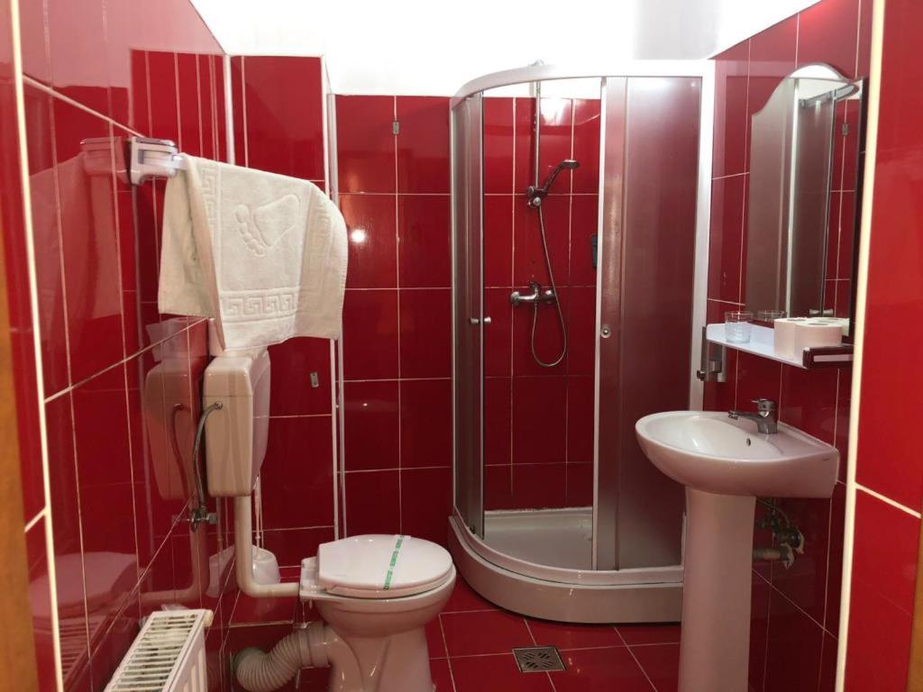 een rood betegelde badkamer met een toilet en een wastafel bij Pensiunea Tisa in Baile Felix