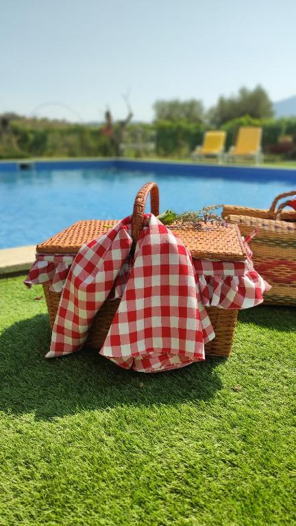 a picnic basket sitting on the grass next to a pool at Quinta dos Padrinhos - Suites in the Heart of the Douro in Lamego