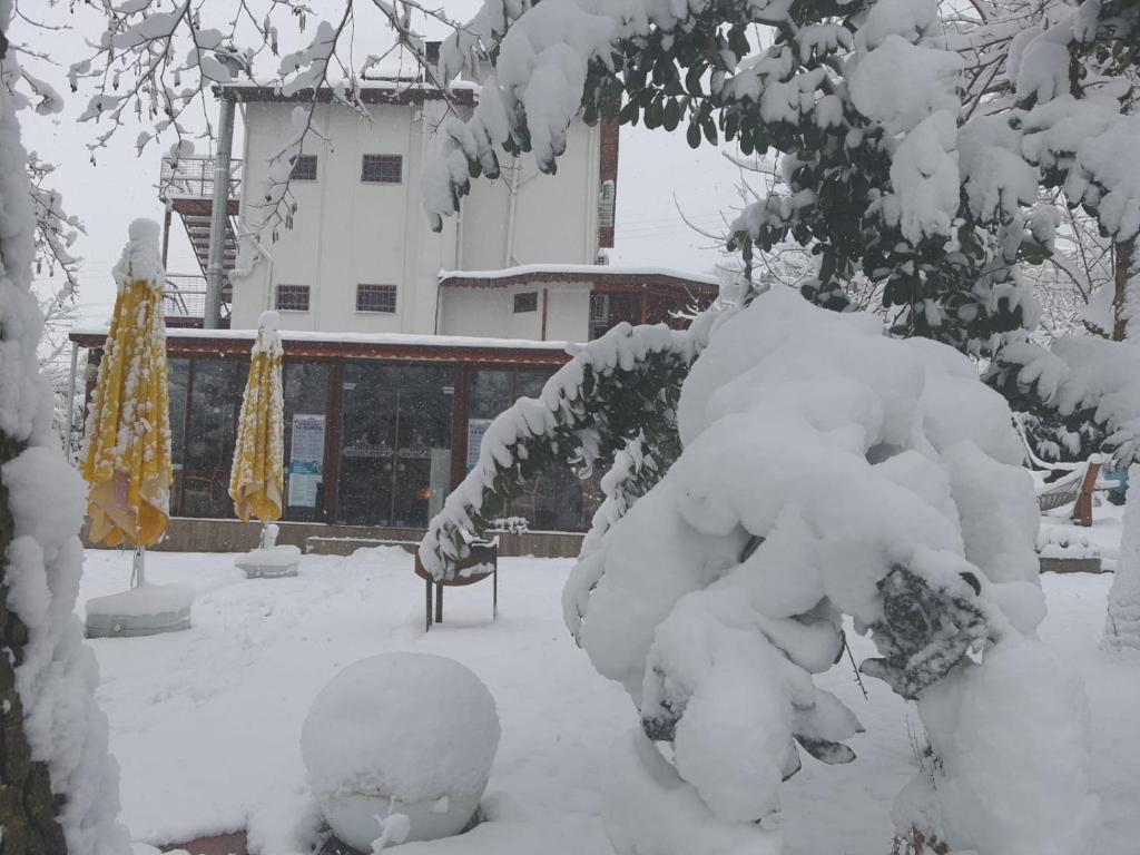 BEYAZEV BUTİK OTEL MAŞUKİYE v zimě