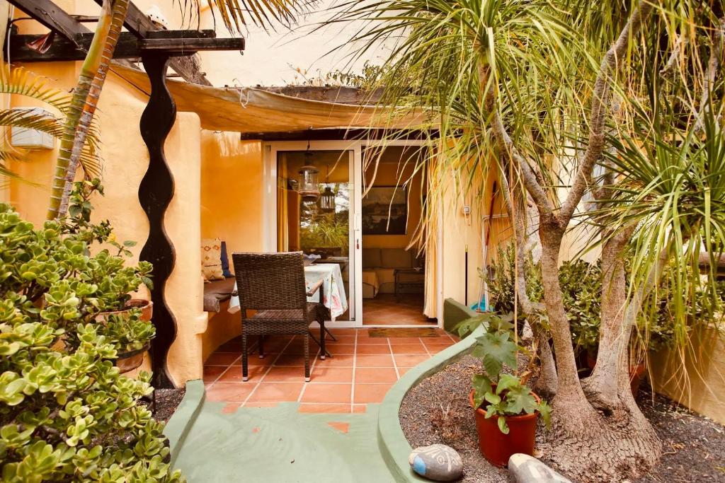 a patio with a table and palm trees in a house at Casa Verde in Teguise