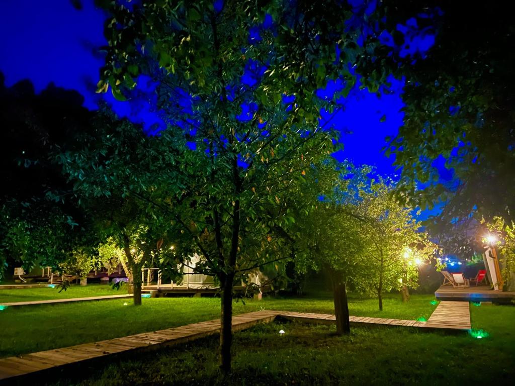 Na Skraju Lasu Domek na Drzewie & Glamping - 18