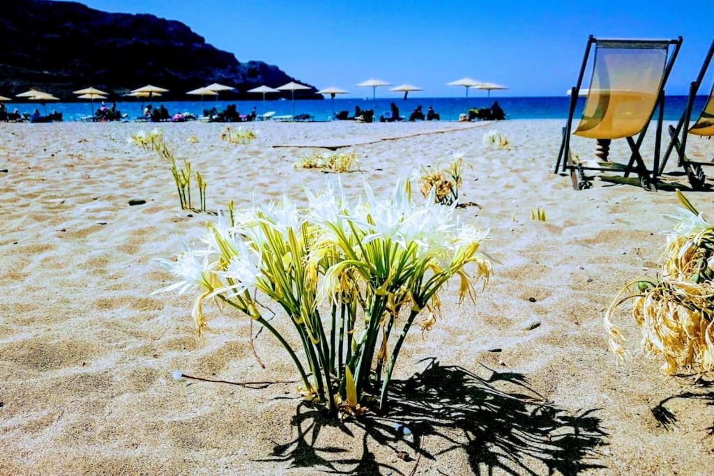 a plant in the sand on a beach with umbrellas at Annamaria Sea Side View Studio- 25m From The Beac in Plakias