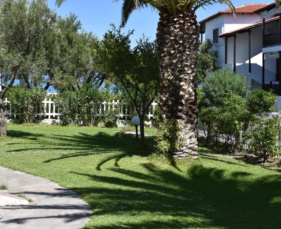 a palm tree in the grass next to a building at Maria's Apartment in Pefkohori