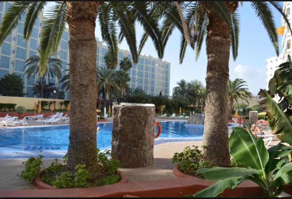 Bazén v ubytování Modern accommodation in Playa del Inglés nebo v jeho okolí