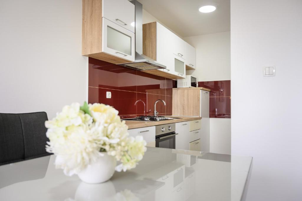 Kuchyň nebo kuchyňský kout v ubytování Apartment Tina