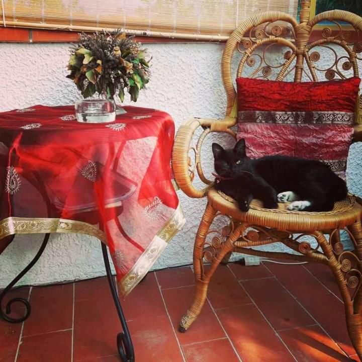 Posezení v ubytování B&B Glicine