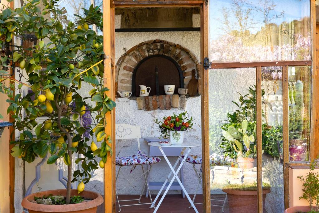Zahrada ubytování B&B Glicine